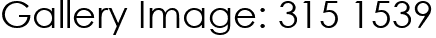 Gallery Image: 315 1539