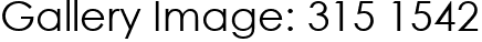 Gallery Image: 315 1542
