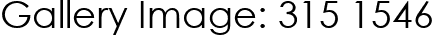 Gallery Image: 315 1546