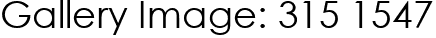 Gallery Image: 315 1547