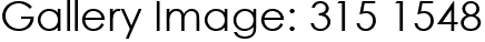Gallery Image: 315 1548