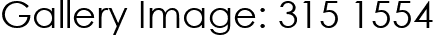 Gallery Image: 315 1554