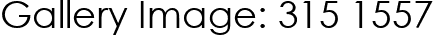 Gallery Image: 315 1557