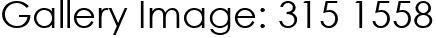 Gallery Image: 315 1558