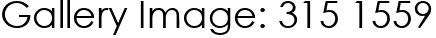 Gallery Image: 315 1559