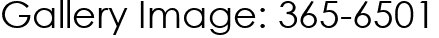 Gallery Image: 365-6501