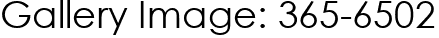 Gallery Image: 365-6502