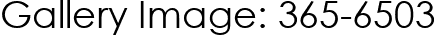 Gallery Image: 365-6503