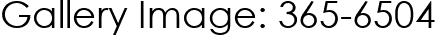 Gallery Image: 365-6504
