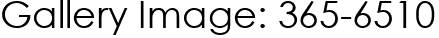 Gallery Image: 365-6510