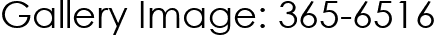 Gallery Image: 365-6516