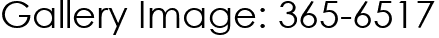 Gallery Image: 365-6517