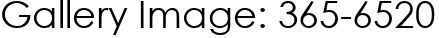 Gallery Image: 365-6520