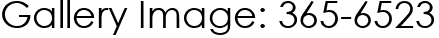 Gallery Image: 365-6523
