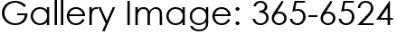 Gallery Image: 365-6524