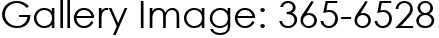 Gallery Image: 365-6528