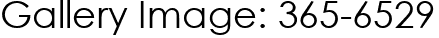 Gallery Image: 365-6529