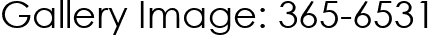 Gallery Image: 365-6531