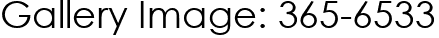 Gallery Image: 365-6533