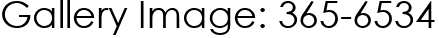 Gallery Image: 365-6534