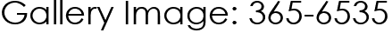 Gallery Image: 365-6535