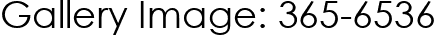 Gallery Image: 365-6536