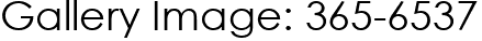 Gallery Image: 365-6537