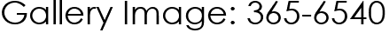Gallery Image: 365-6540