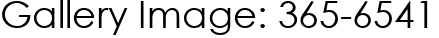 Gallery Image: 365-6541