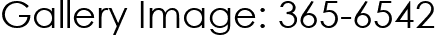 Gallery Image: 365-6542