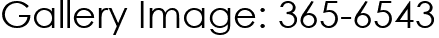 Gallery Image: 365-6543