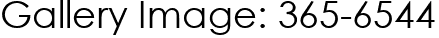 Gallery Image: 365-6544