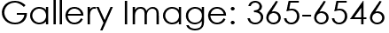 Gallery Image: 365-6546