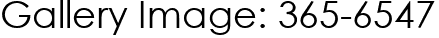 Gallery Image: 365-6547