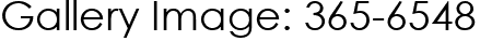 Gallery Image: 365-6548