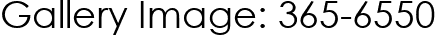 Gallery Image: 365-6550