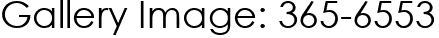 Gallery Image: 365-6553