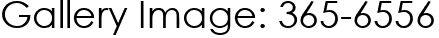 Gallery Image: 365-6556