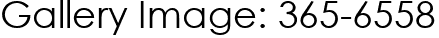 Gallery Image: 365-6558