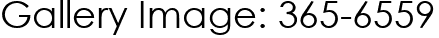 Gallery Image: 365-6559