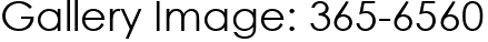 Gallery Image: 365-6560