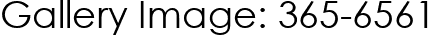 Gallery Image: 365-6561