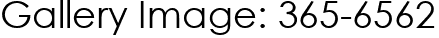 Gallery Image: 365-6562
