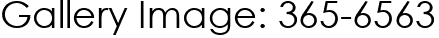 Gallery Image: 365-6563