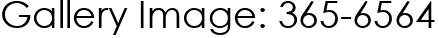 Gallery Image: 365-6564