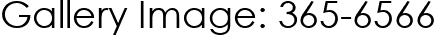 Gallery Image: 365-6566