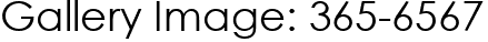 Gallery Image: 365-6567