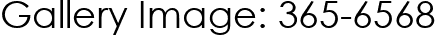 Gallery Image: 365-6568