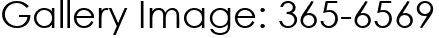 Gallery Image: 365-6569