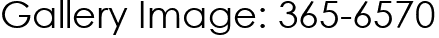 Gallery Image: 365-6570